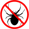 stop spider infestation