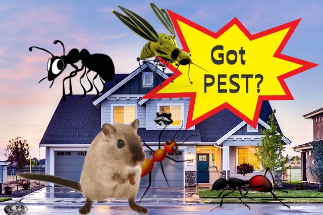 Pest Control Service In Draper Ut