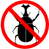 Pest-Control-Beetle-2.png
