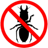 Pest-Control-Beetle.png